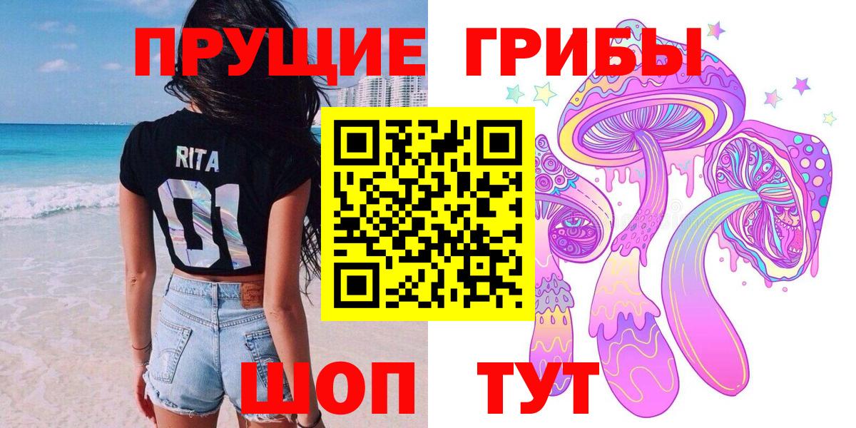 Псилоцибиновые грибы мицелий Урус-Мартан