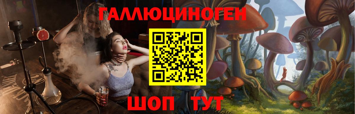 Псилоцибиновые грибы Magic Shrooms  Вход с VPN  Урус-Мартан 